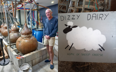Visit to Treguddick Distillery & Dizzy Dairy