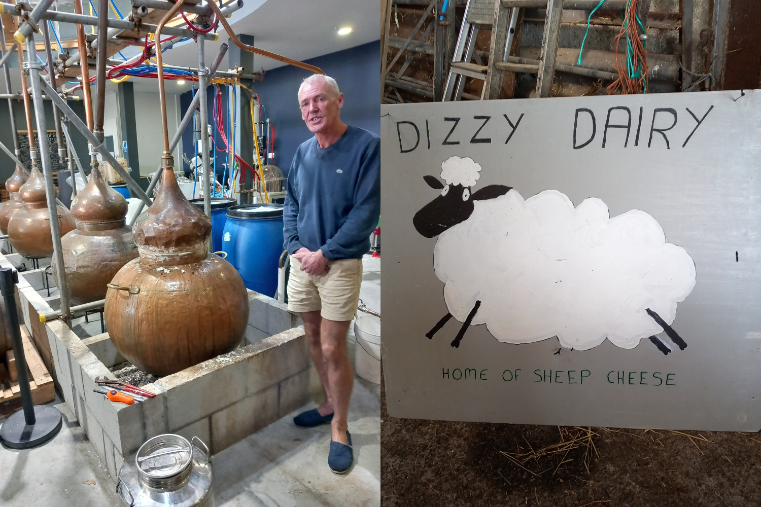 Career Event StepAhead