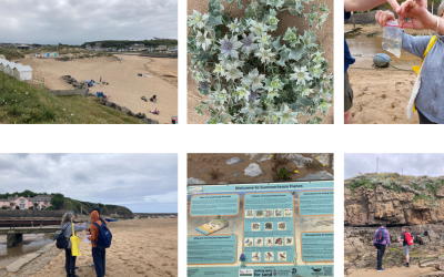 Exploring Environmental Issues at Summerleaze Beach